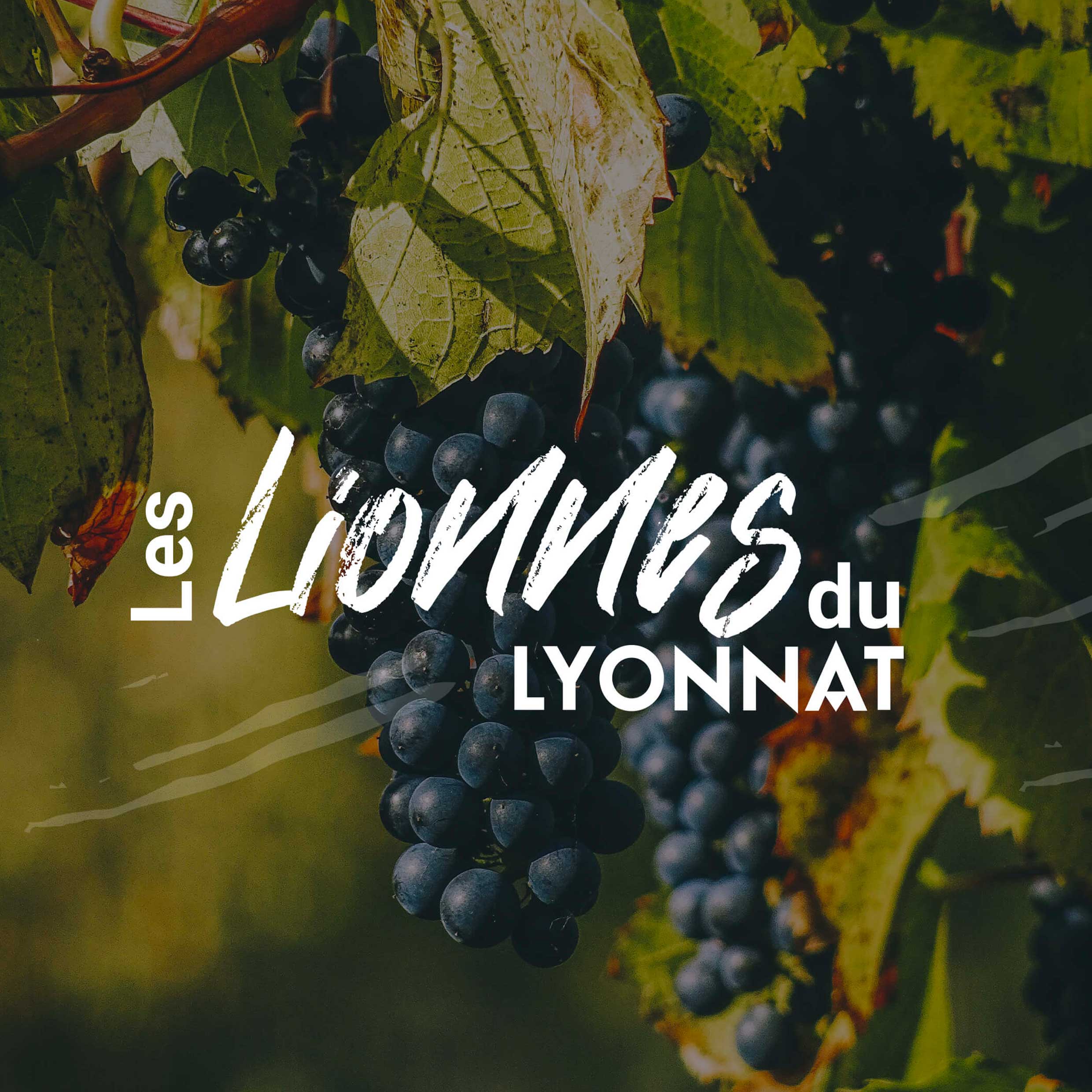 Logo-Etiquette Vin Lionnes